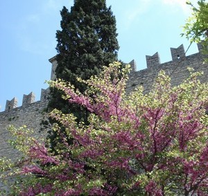 Сан-Марино окружают высокие каменные стены - фото 43
