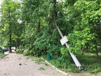 Электроснабжение в Нижегородской области полностью восстановлено после урагана 