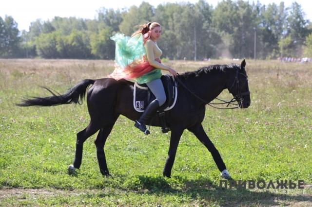 Этап Кубка мира по конной выездке пройдет в Нижнем Новгороде с 7 по 10 июня