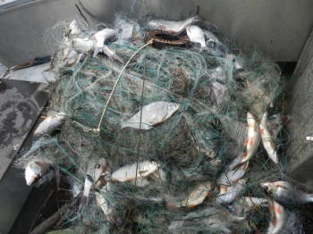 Ограничения на рыбную ловлю сняты в Нижегородской области
