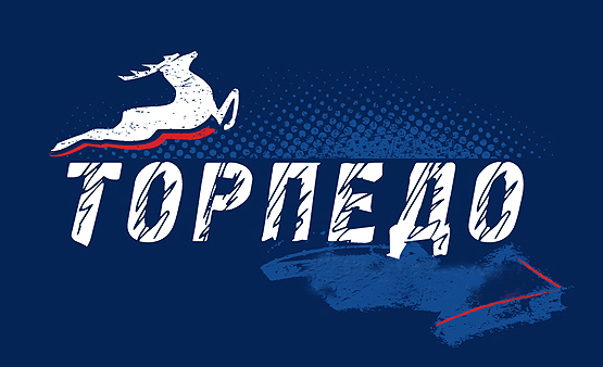 Двадцать хоккеистов покидают нижегородское "Торпедо"