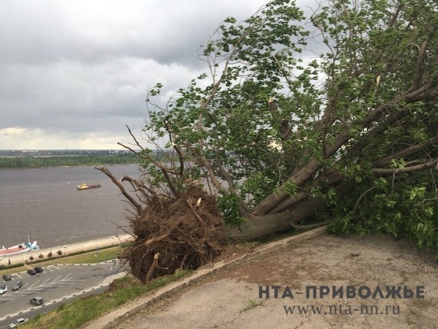 Правительство Нижегородской области выделит на устранение последствий урагана 100 млн. рублей