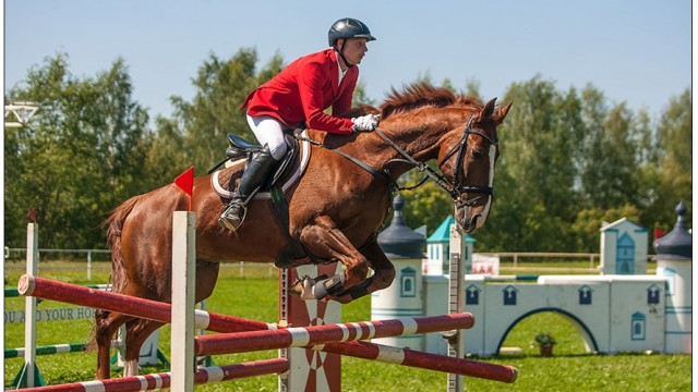 Нижегородец Сергей Федорин на проходивших в Москве соревнованиях по конному спорту занял второе место