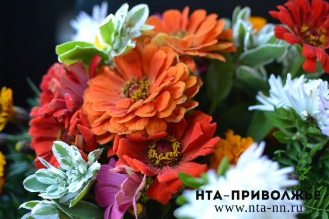 Международный женский день отмечается в России 8 марта