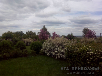 Территорию Парка культуры и отдыха незаконно приватизировали в мордовской Рузаевке