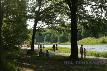  Акарицидная обработка пройдет в пяти парках Ульяновска