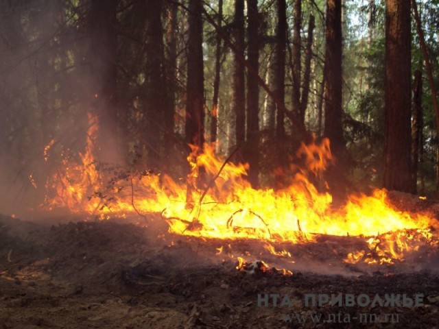 Нижегородское ГУ МЧС России предупреждает о возможном увеличении числа природных пожаров в связи с жаркой погодой 26-28 июля